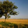 Ferieboliger i Dissay-sous-Courcillon