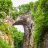 Kjæledyrvennlige hoteller i Natural Bridge