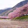 Ryokans in Kawazu