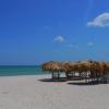 Sisal