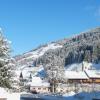 Resorts de esquí en Kelchsau