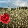 Lacná dovolenka v destinácii Arganda del Rey