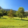 Andalo