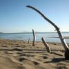 Follonica