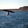 Puerto Madryn