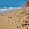 Alquileres vacacionales en la playa en Nahsholim