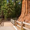 Hotels in Sequoia National Park