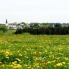 Hotels met Parkeren in Manderfeld