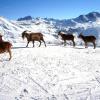 Vacances à Saint-Jean-de-Maurienne à petit prix