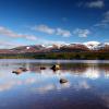 Hotels in Aviemore