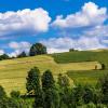 Hoteluri cu parcare în Leśnica