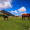 Alquileres vacacionales en Bains de Guagno