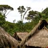 Cabins in Tena