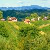 Holiday Rentals in Zagorje