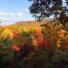 Cottages in Tannersville