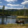 Hoteles familiares en Wapiti