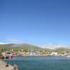 Dingle