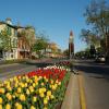Pet-Friendly Hotels in Niagara-on-the-Lake