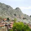 Pet-Friendly Hotels in Tokat