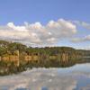 Cottages in Bomaderry