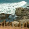 Pichilemu