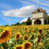 Alquileres vacacionales en la playa en Lisle-sur-Tarn