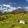 Alquileres vacacionales en Monte