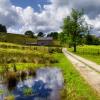 Cottages in Cockerham