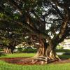 Palm Beach Gardens