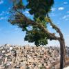 Guest Houses in Amman