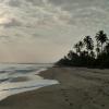 Guest Houses in Palomino