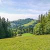 Cheap Hotels in Wald