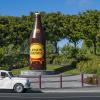 Hotels in Paeroa