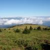 Allotjaments vacacionals a Bouriège