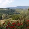 Holiday Rentals in Bagnoro