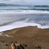 Hotel dengan parkir di Gleneden Beach