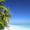 Dhangethi