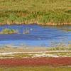 Neusiedl am See