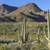 Apartments in Eloy