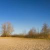 Holiday Homes in Zeewolde