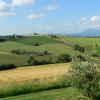 Pet-Friendly Hotels in Gioiella