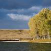 Hoteles en High River