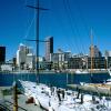 Auckland