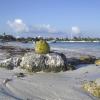 Cabañas en Akumal