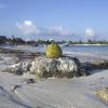 Akumal