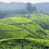 Hotéis em Munnar