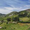 Hotels in Ooty