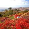 Hotéis em Funchal