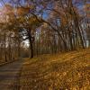 Bolszewo'daki otoparklar