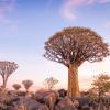 Keetmanshoop